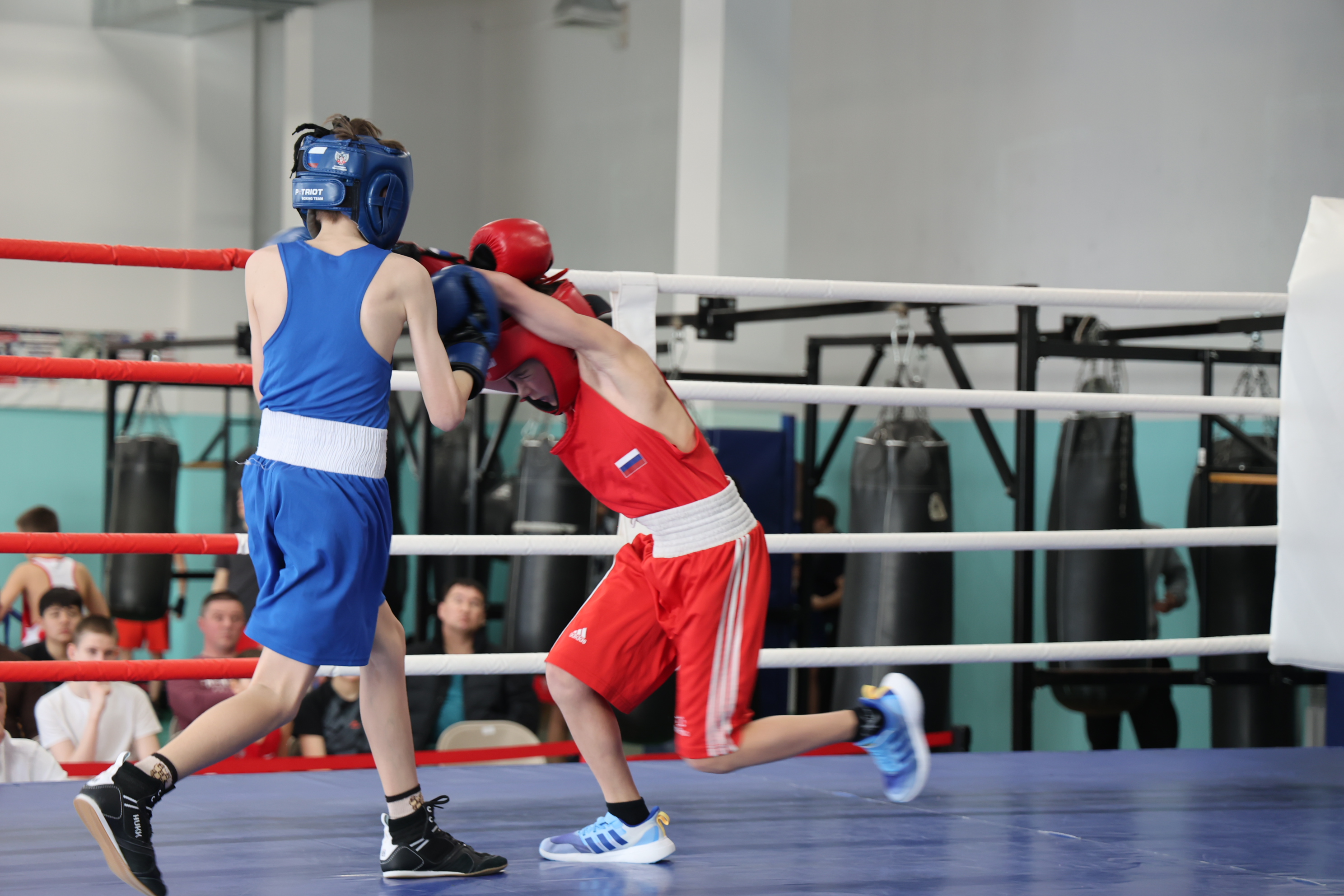 Первенство области по боксу