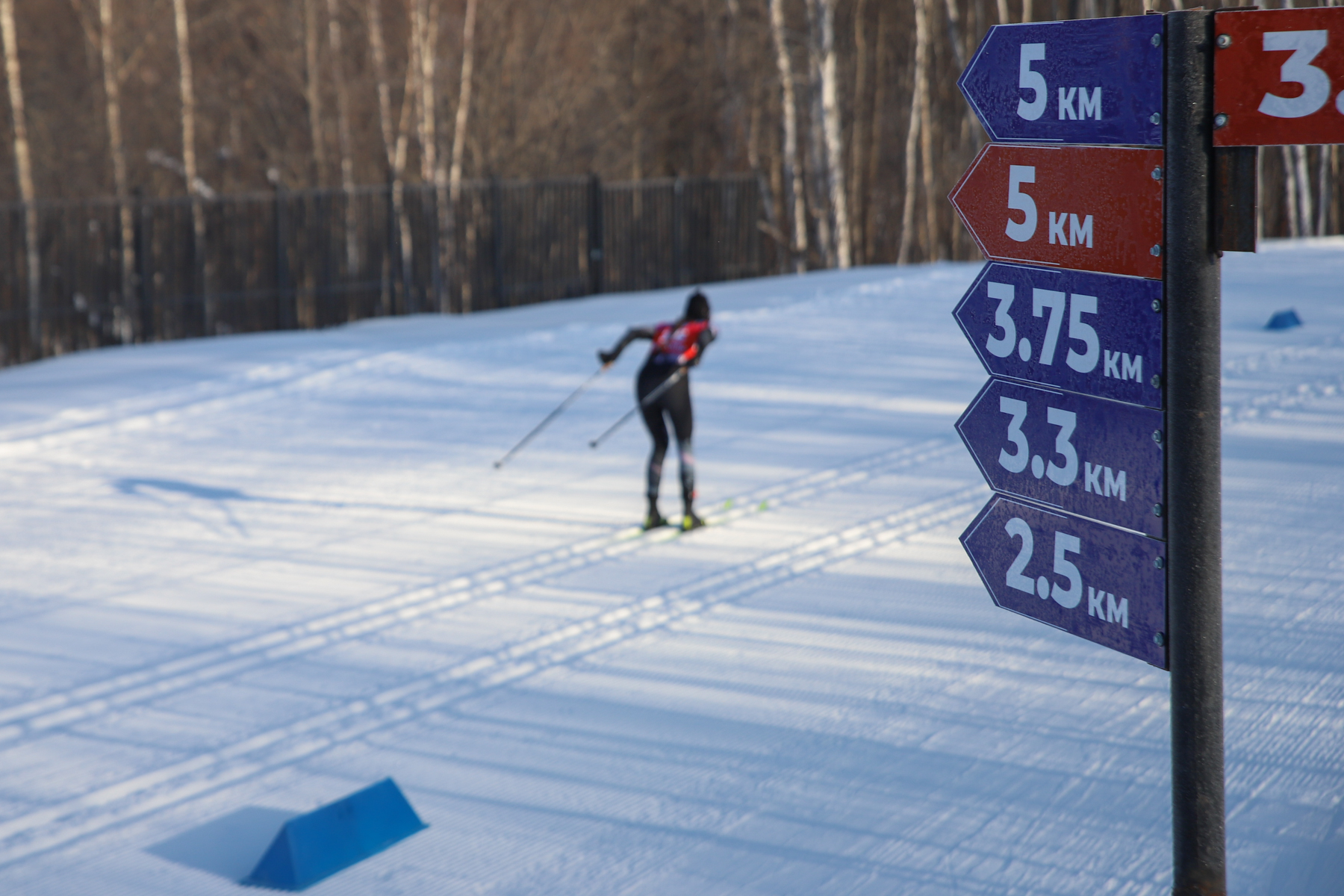 Спартакиада учащихся ДФО по лыжным гонкам