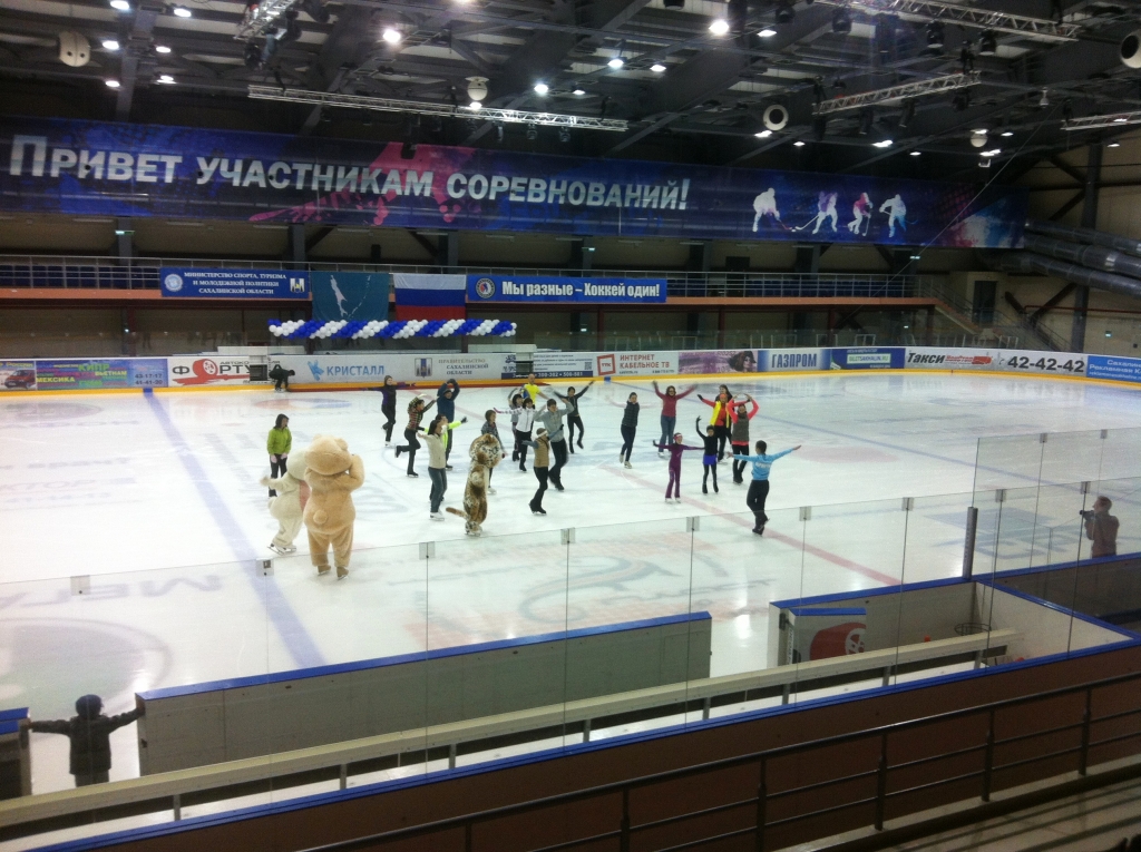 Показательные выступления фигуристов