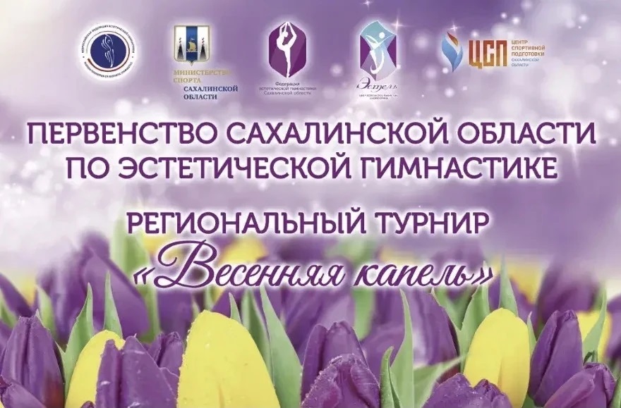 Первенство области по эстетической гимнастике